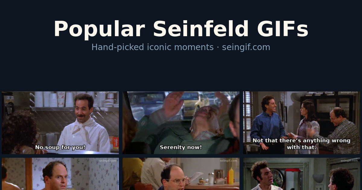 Iconic Seinfeld GIFs — Iconic Quotes & Moments | SeinGIF